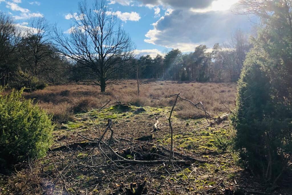 Vakantiebungalow in bosrijke omgeving Luttenberg Villa Buitenkant foto